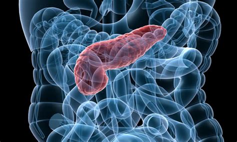 Bukspottkörtelinflammation (pankreatit) .